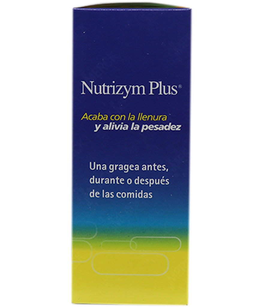 NUTRIZYM PLUS GRAx400/5/60MGx20