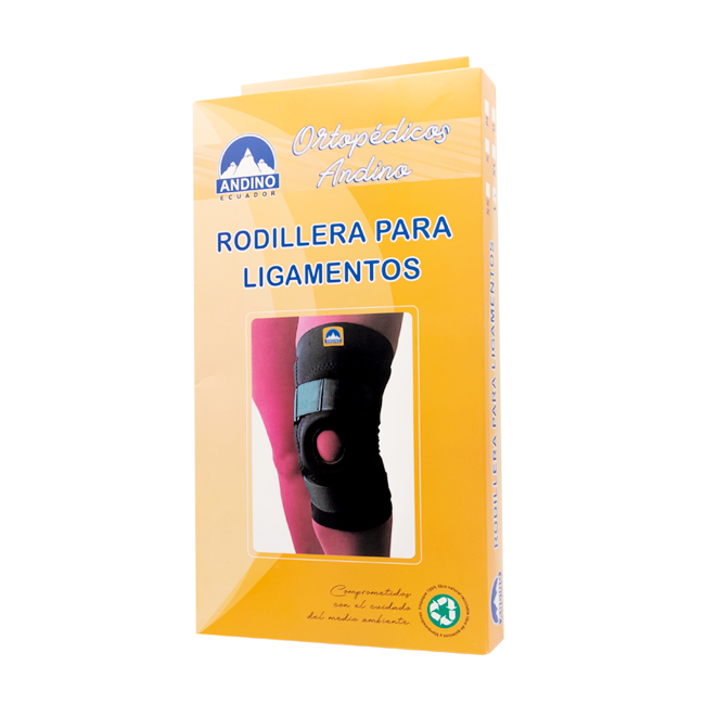 RODILLERA ANDINO P-LIGAMENTO T-L