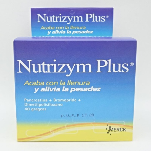 [07303] NUTRIZYM PLUS  GRAx400/5/60MGx40