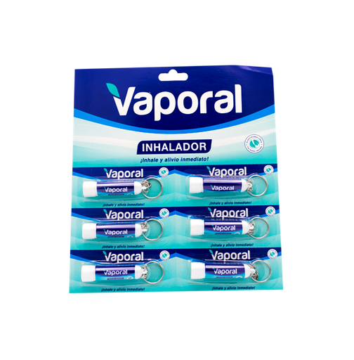 [09449] VAPORAL GUD  SOL-INHx0.40%x6