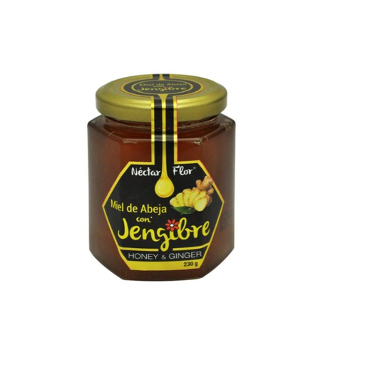 [62701] MIEL ABEJA C-JENGIBRE FCOx230GR 