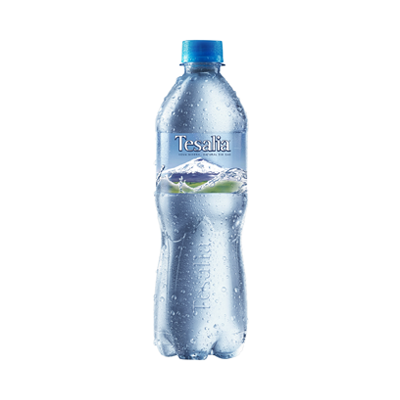[66118] AGUA TESALIA S-GASx625ML PET 